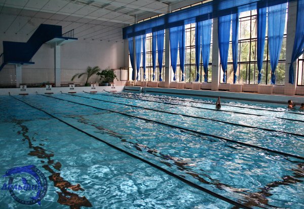 Басейн Дельфін (Київ)