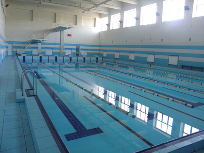 Басейн Буревісник (Ужгород)