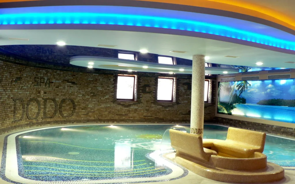 Басейн Додо (Житомир)