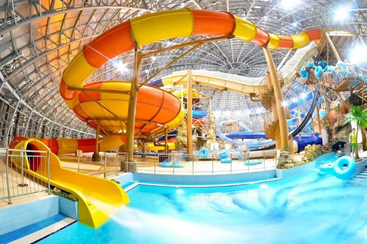 Аквапарк Алігатор (Тернопіль)