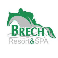 Бассейн Бреч (Чернигов)