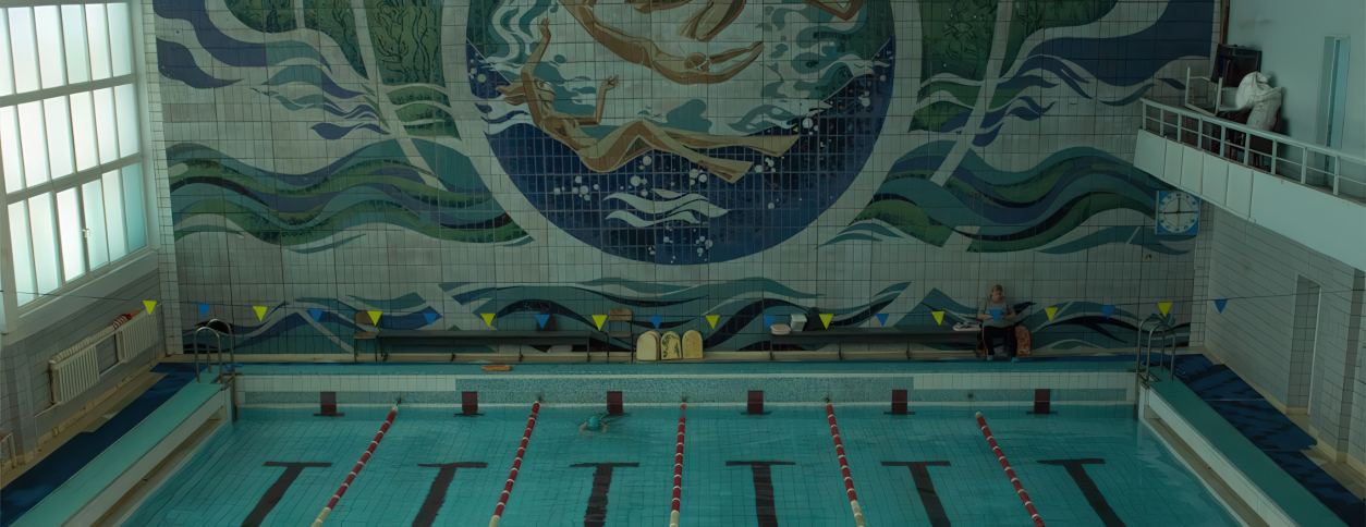 Басейн Кнуба (Київ)