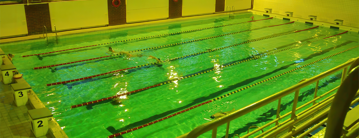 Басейн НПУ імені Драгоманова (Київ)