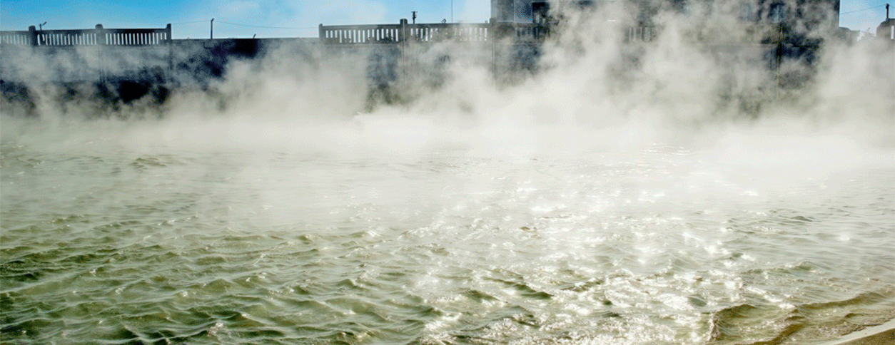 Горячий источник Счастливцево