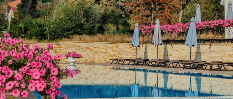 червона рута шаян басейн