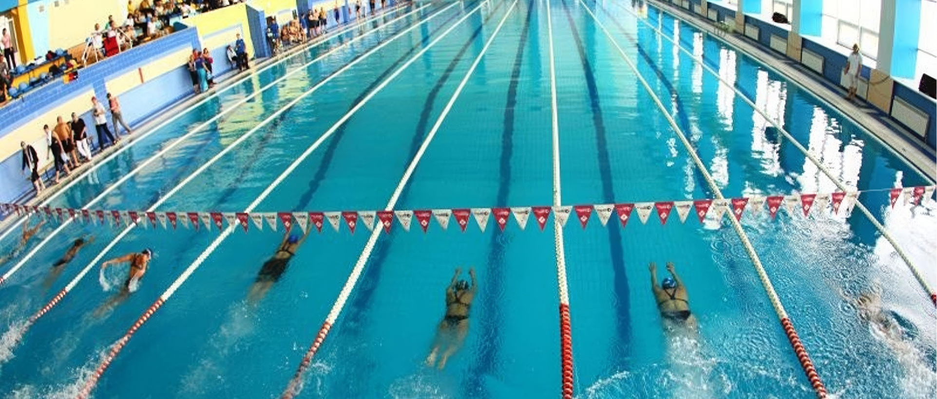 Басейн Дельфін (Донецьк)