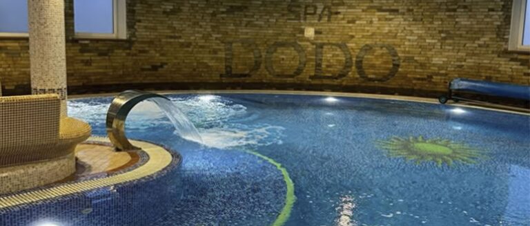 додо житомир басейн ціни