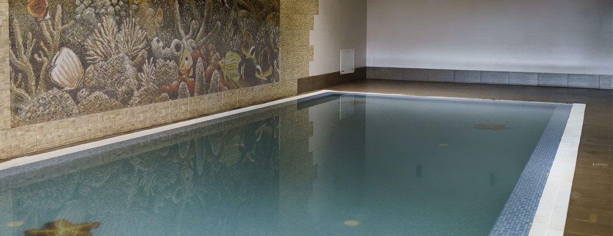 лайм житомир басейн відгуки