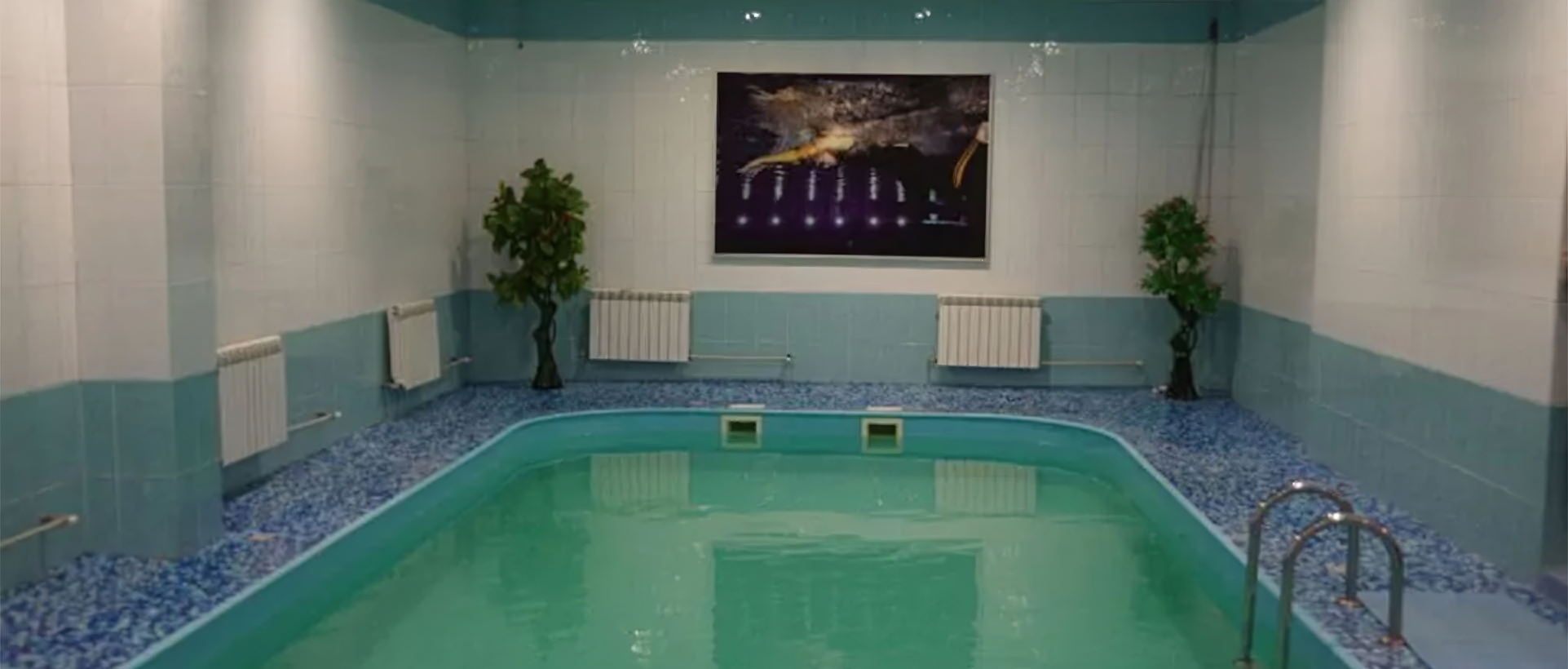 Бассейн Плаза (Житомир)