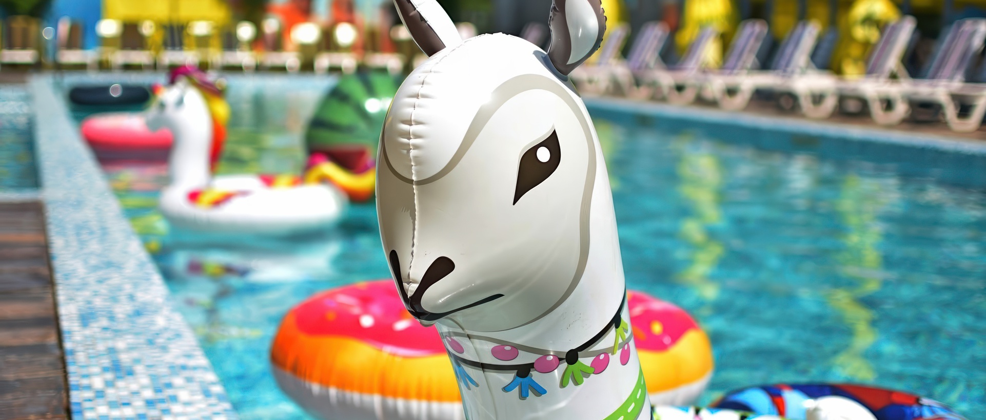 Аквапарк Балі (Bali) на базі Фіт Хаус (Запоріжжя) Запоріжжя