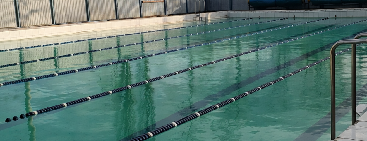 Бассейн Дельфин (Кривой Рог)