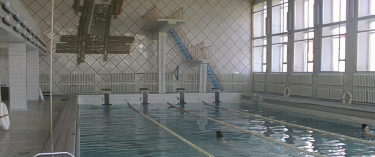 бассейн динамо сумы